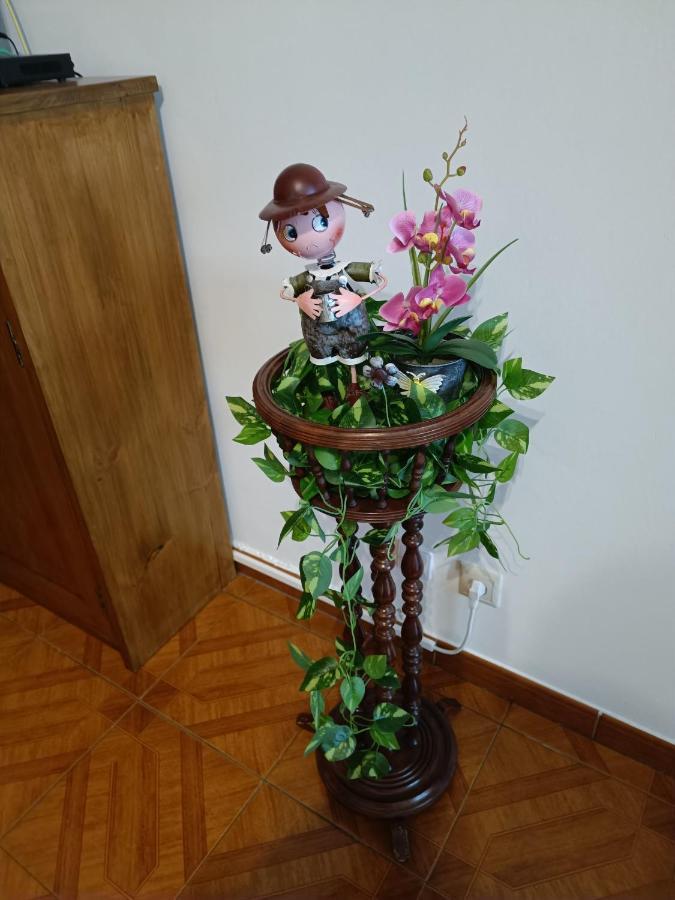 Apartamento Boca Doce Ponta Delgada - Açores Exterior foto